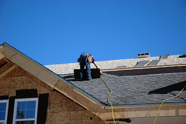 Best Roof Gutter Cleaning  in Hamilton, OH
